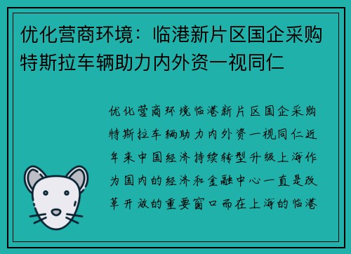 优化营商环境：临港新片区国企采购特斯拉车辆助力内外资一视同仁