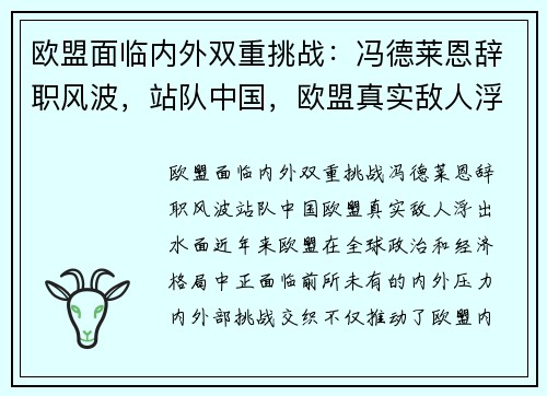 欧盟面临内外双重挑战：冯德莱恩辞职风波，站队中国，欧盟真实敌人浮出水面