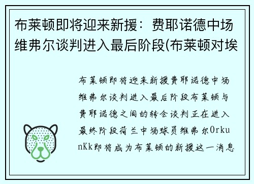 布莱顿即将迎来新援：费耶诺德中场维弗尔谈判进入最后阶段(布莱顿对埃弗顿历史比分)