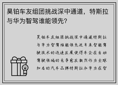 昊铂车友组团挑战深中通道，特斯拉与华为智驾谁能领先？