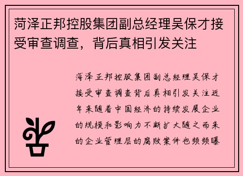 菏泽正邦控股集团副总经理吴保才接受审查调查，背后真相引发关注