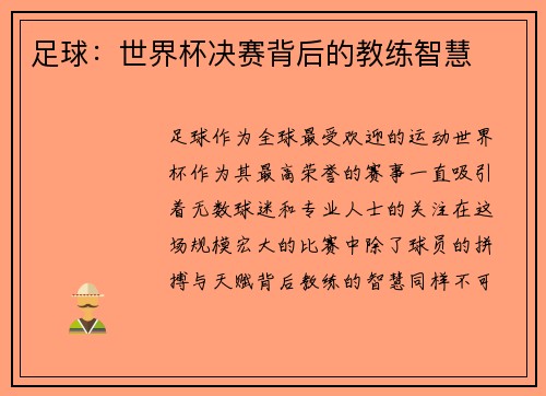 足球：世界杯决赛背后的教练智慧