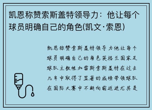 凯恩称赞索斯盖特领导力：他让每个球员明确自己的角色(凯文·索恩)