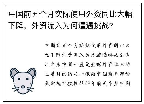 中国前五个月实际使用外资同比大幅下降，外资流入为何遭遇挑战？